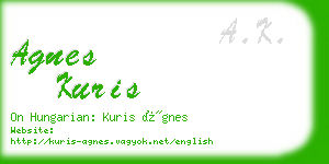 agnes kuris business card